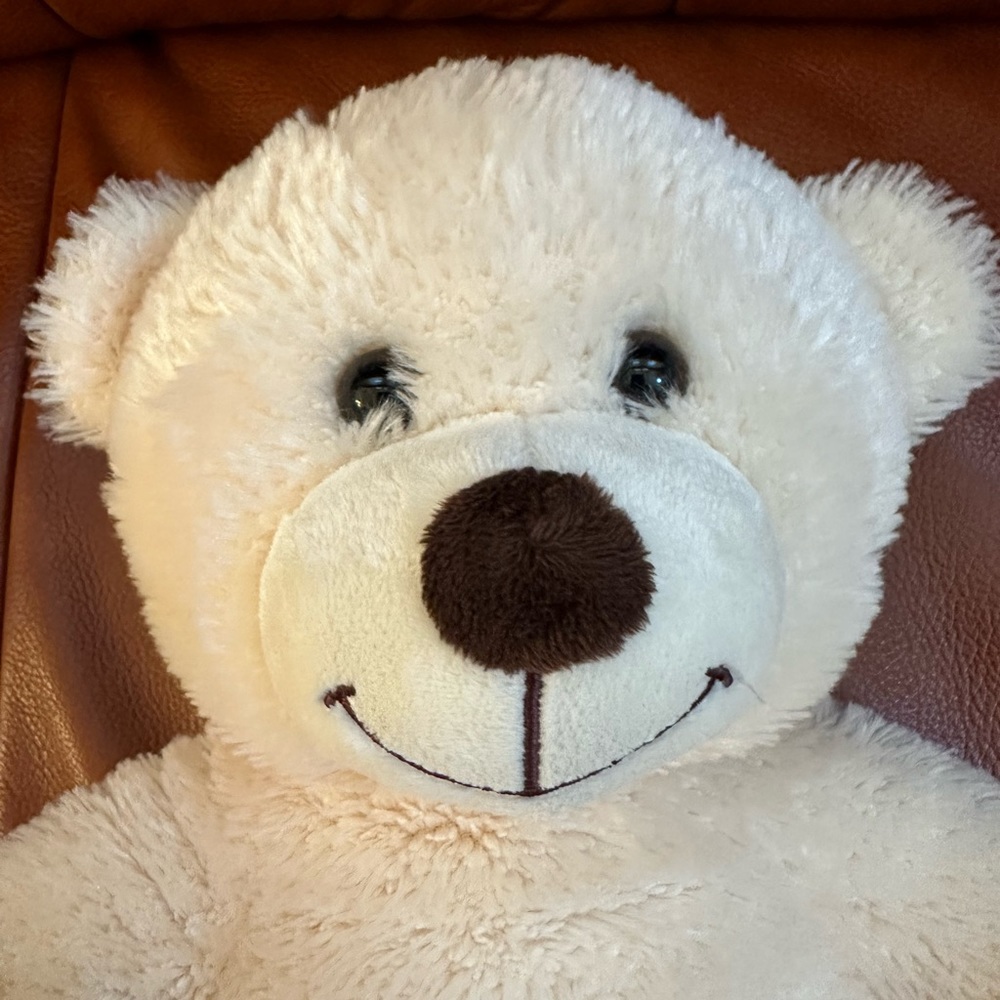 Build-a-Bear Teddy Bear - Picture 6 of 6